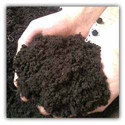 Почему Бог не дал крыльев человеку?