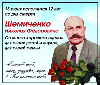 Шемиченко НФ
